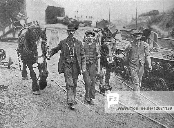 After the settlement: Miners taking their ponies back to the pit  1915. Artist: Unknown.