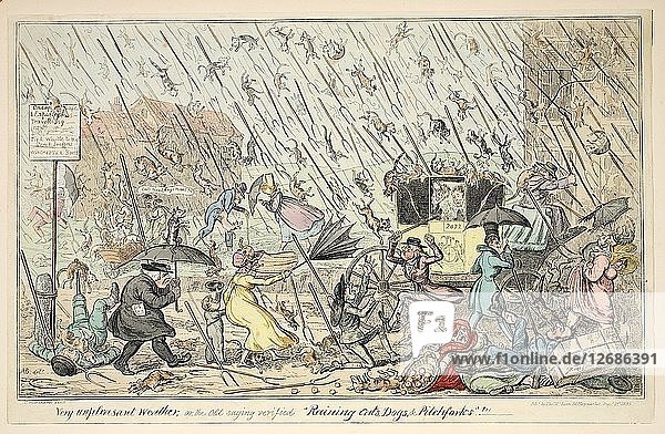 Very Unpleasant Weather or the Old Saying verified Raining Cats  Dogs and Pitchforks  1835.