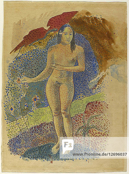 Te nave nave fenua (Delightful Land) 1892.