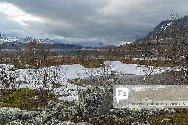 View over Stora sjöfallets national park in spring time  snow and ice on the water  birch trees budding and cloudy weather  Stora sjöfallets national park  Laponia  Gällivare county  Swedish Lapland  Sweden.