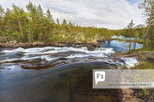 River with waterfall in forest with pine trees and birch trees around  Jokkmokk county  Swedish Lapland  Sweden.