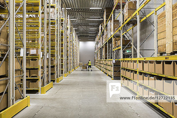 Mid distance view of senior male warehouse worker pushing cart on aisle in industrial building