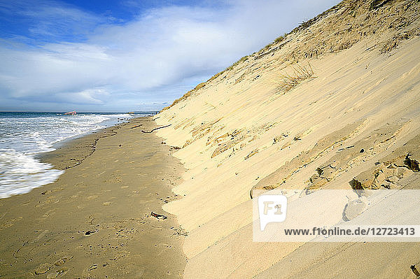 France  South-Western France  Arcachon Bay  coastal dune erosion