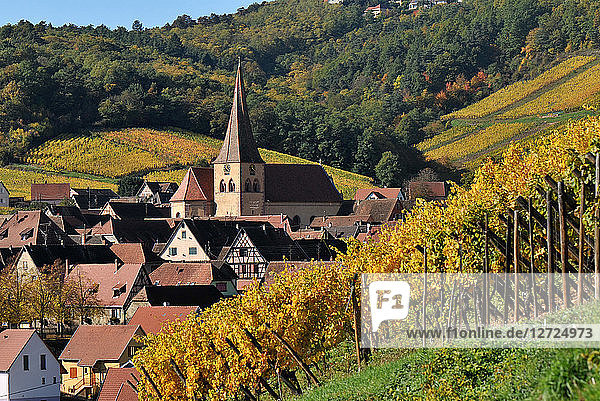 Dorf Niedermorschwihr in seinem Weinberg im Herbst