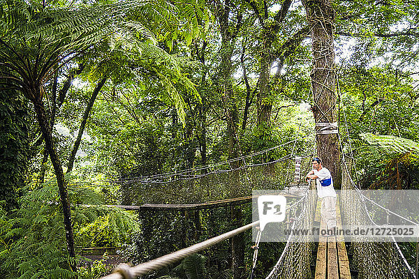 Ein Mann beobachtet den Wald auf einer Hängebrücke  Botanischer Garten von Balata  Martinique  Frankreich