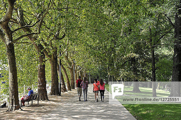 France  Auvergne Region  Allier Department  Vichy city  people walking in a park along the Allier river.