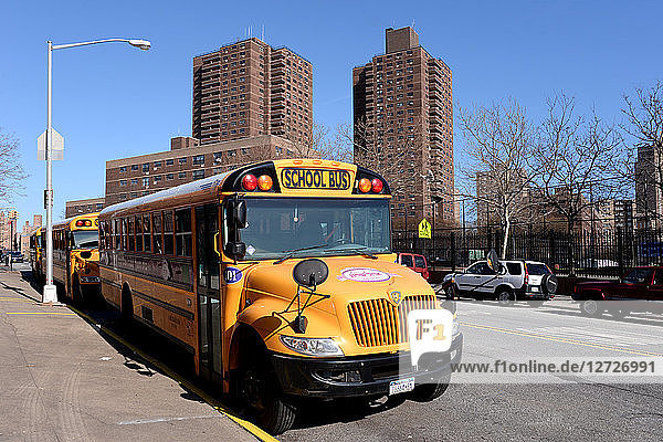 Gelber Schulbus geparkt   Brooklyn  New-York  USA