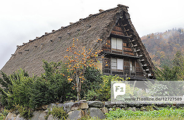 Japan  Japanische Alpen  Shirakawa-go  Strohdachhaus