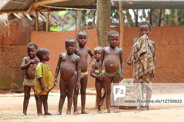 Group of young Beninese children in a village. Tori. Benin.
