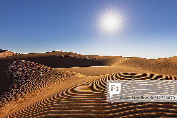 Africa  Namibia  Namib desert  Naukluft National Park  sand dune against the sun