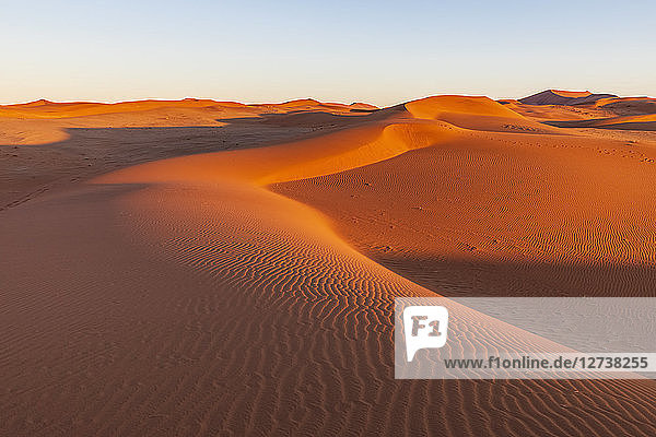 Africa  Namibia  Namib desert  Naukluft National Park  sand dune in the morning light at sunrise