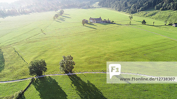 Austria  Tyrol  Kufsteinerland  Aerial view of fields and meadows