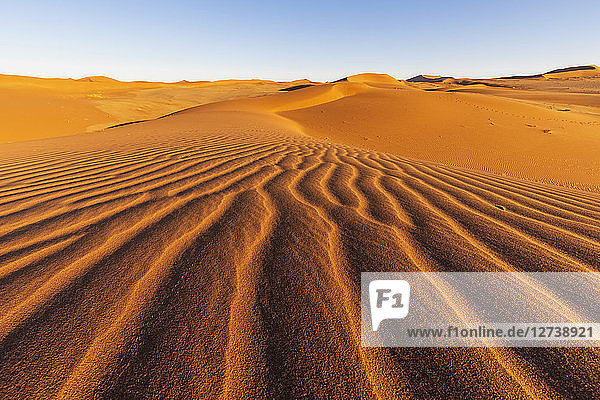 Africa  Namibia  Namib desert  Naukluft National Park  sand dunes