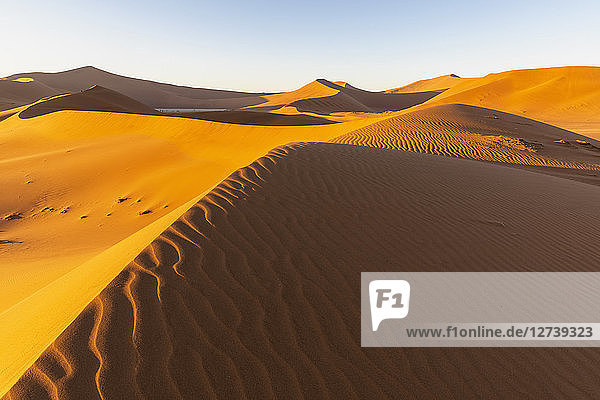 Africa  Namibia  Namib desert  Naukluft National Park  Dead Vlei and sand dune 'Big Daddy'