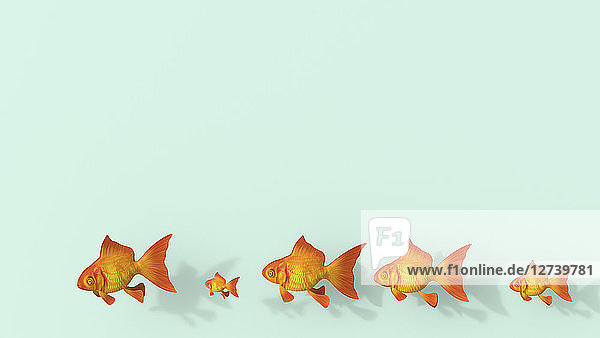 3D rendering  Row of different goldfish on green background