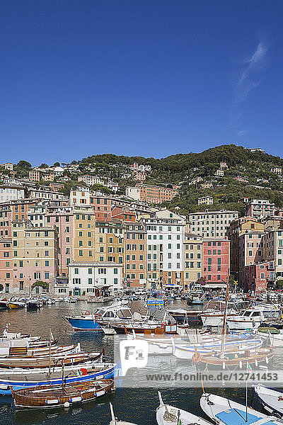 Italy  Liguria  Camogli  harbour
