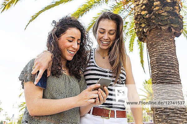 Two happy female friends looking at a smartphone under a palm tree