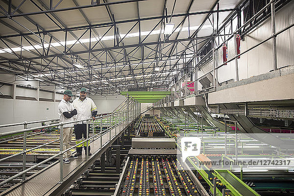 Workers talking in apple factory  sorting machine