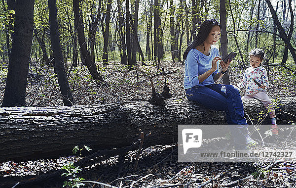 Mother and daughter in park sitting on tree trunk  using smartphone
