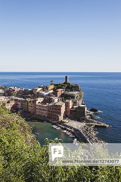 Italy  Liguria  Cinque Terre  Vernazza