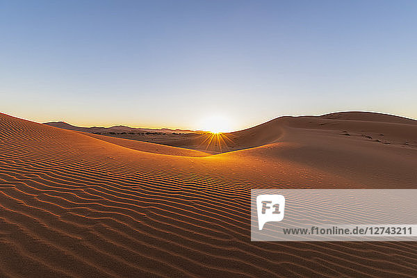 Africa  Namibia  Namib desert  Naukluft National Park  sand dunes against the morning sun