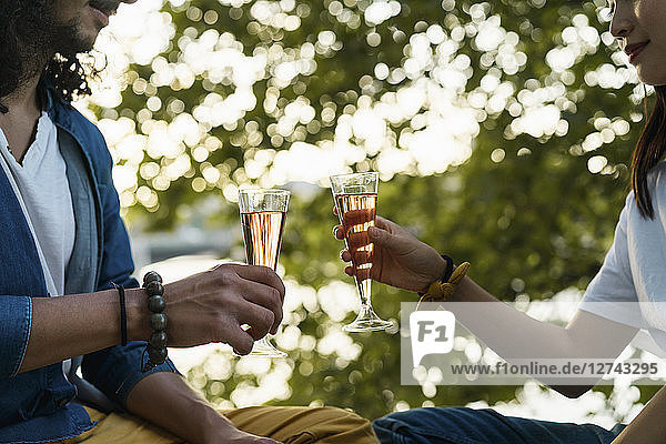 Close-up of couple clinking champagne glasses at a tree