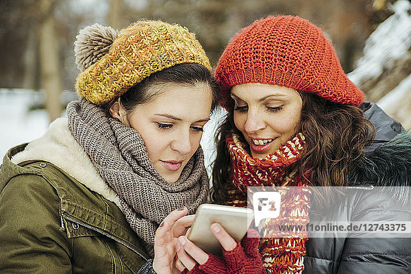 Two friends in the snow looking at cell phone