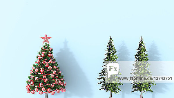 3D rendering  Christmas tree with fir trees on blue background