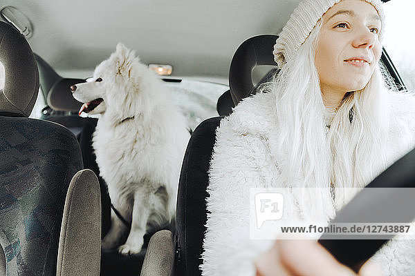 White dressed young woman driving car with white dog on the backseat