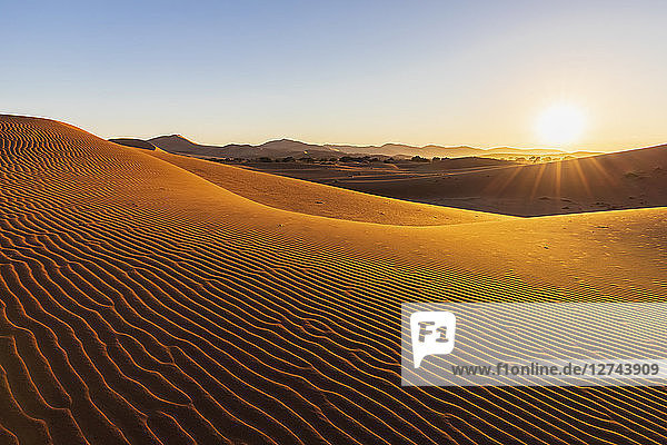 Africa  Namibia  Namib desert  Naukluft National Park  sand dunes in the morning light against the morning sun