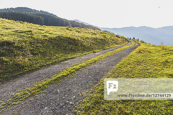 Austria  Gravel path in summer