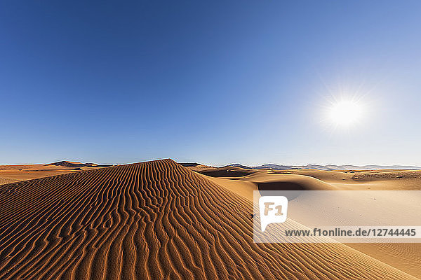 Africa  Namibia  Namib desert  Naukluft National Park  sand dunes against the sun
