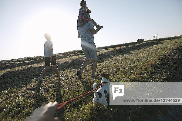 Familiy walking with Jack Russel Terrier on a field at sunset
