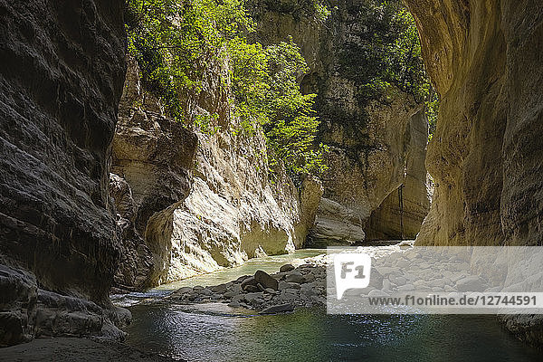 Albania  Gjirokaster  Fir of Hotove-Dangelli National Park  Lengarica Canyon  Lengarica river