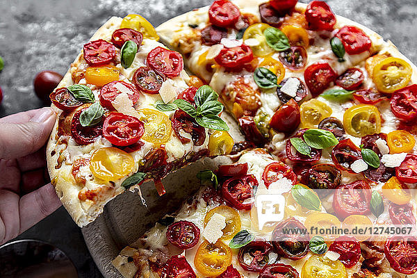 Hand holding slice of pizza with tomatoes and basil leaves