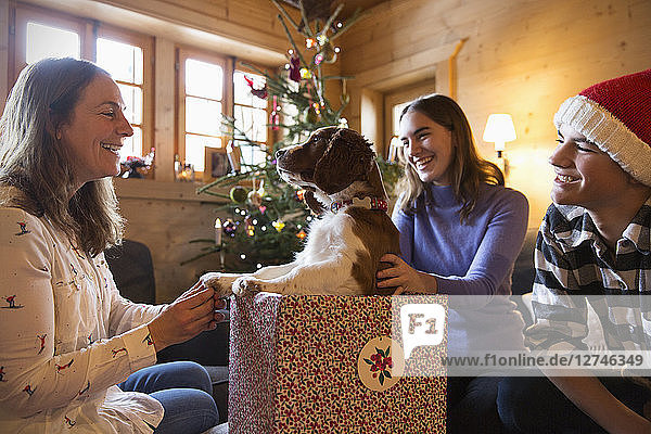 Glückliche Familie mit Hund in Weihnachtsgeschenkbox
