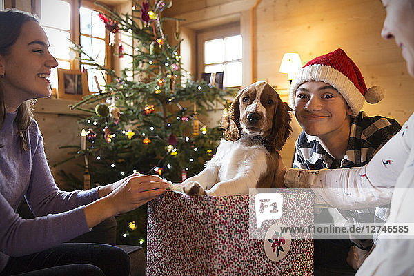 Porträt Familie spielt mit Hund in Weihnachtsgeschenkbox