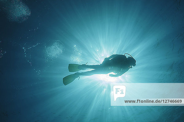 Sun shining behind woman scuba diving underwater  Maldives  Indian Ocean