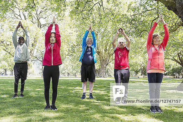Active seniors exercising  practicing yoga in park