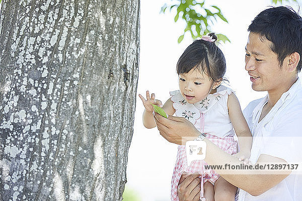 Japanischer Vater und Tochter im Park