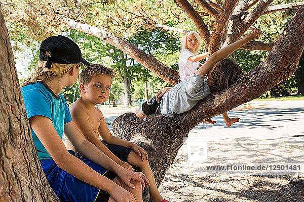 Children relaxing on tree fork in park