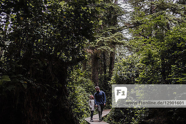 Father and daughter hiking in forest  Tofino  Canada