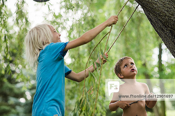 Kinder spielen unter Weidenbaum