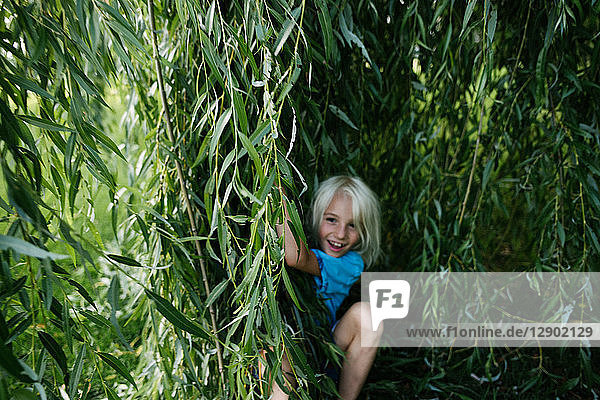 Boy playing under willow tree
