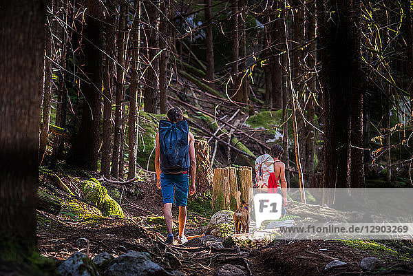 Bergsteiger und Hunde  die durch den Wald laufen  Squamish  Kanada
