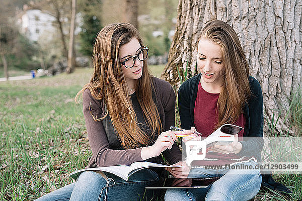 Girlfriends reading book in park