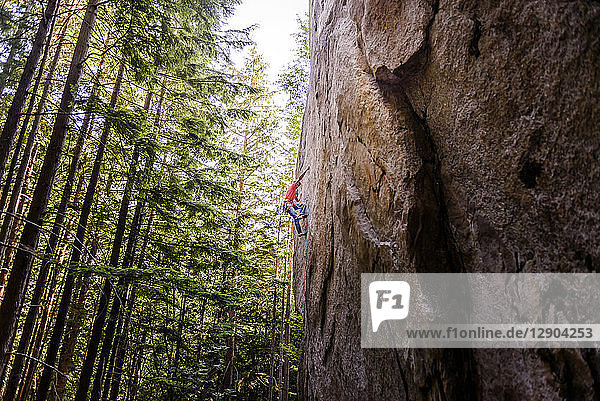Bergsteiger erklimmt Felswand in der Nähe von Bäumen  Squamish  Kanada
