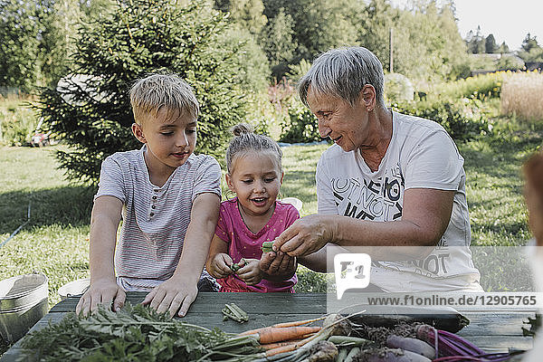 Senior woman with grandson and granddaughter enjoying harvested vegetables in the garden