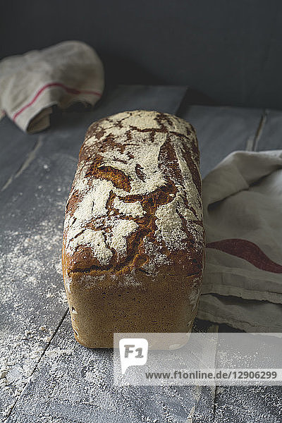 Home-baked rustic rye bread
