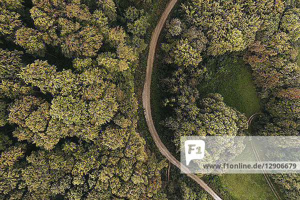 Austria  Lower Austria  Vienna Woods  Biosphere Reserve Vienna Woods  Aerial view of dirt road and forest in the early morning
